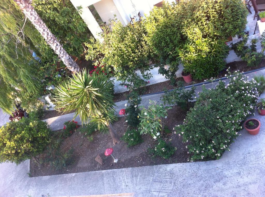 Manine Apartments Cidade de Kos Quarto foto